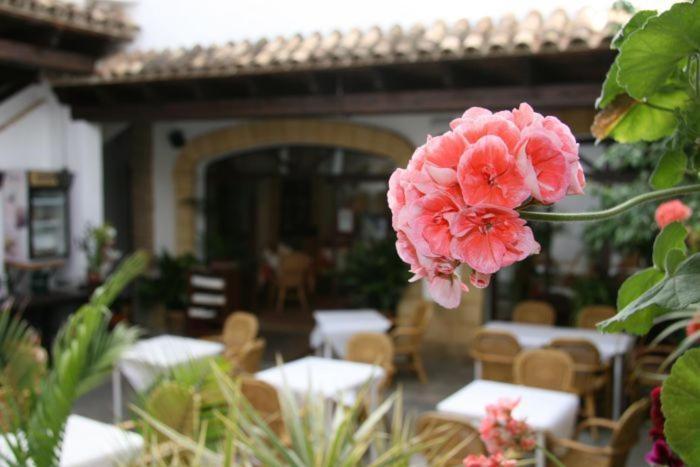 Hostal Torre De Guzman Conil De La Frontera Exterior foto