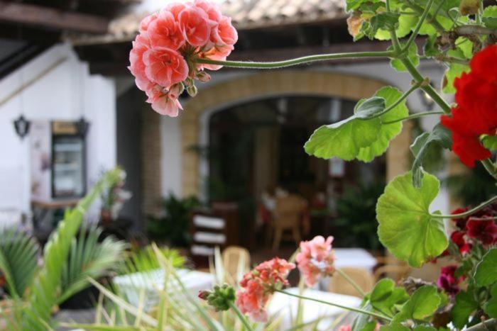 Hostal Torre De Guzman Conil De La Frontera Exterior foto
