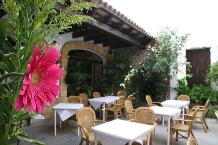 Hostal Torre De Guzman Conil De La Frontera Exterior foto